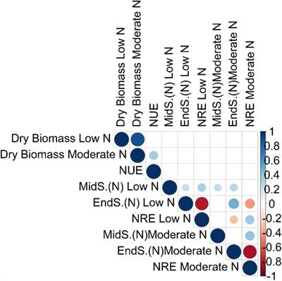 The Genetic Architecture of Nitrogen Use Efficiency in Switchgrass (Panicum virgatum L.)